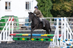 Class 3 -  Fences not above 2'3